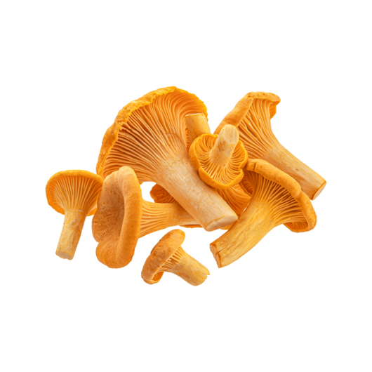 Chanterelle Mushrooms